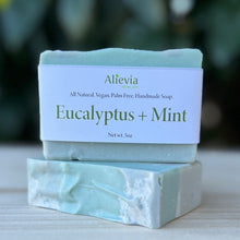 Eucalyptus Mint